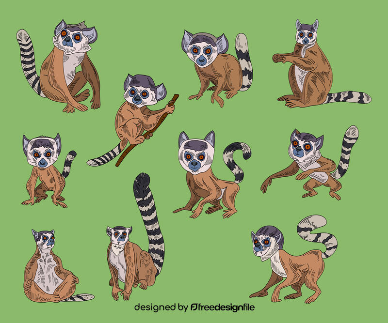 Lemur vector