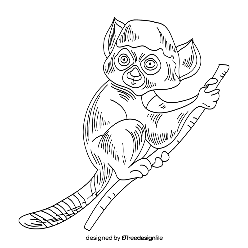 Lemur black and white clipart