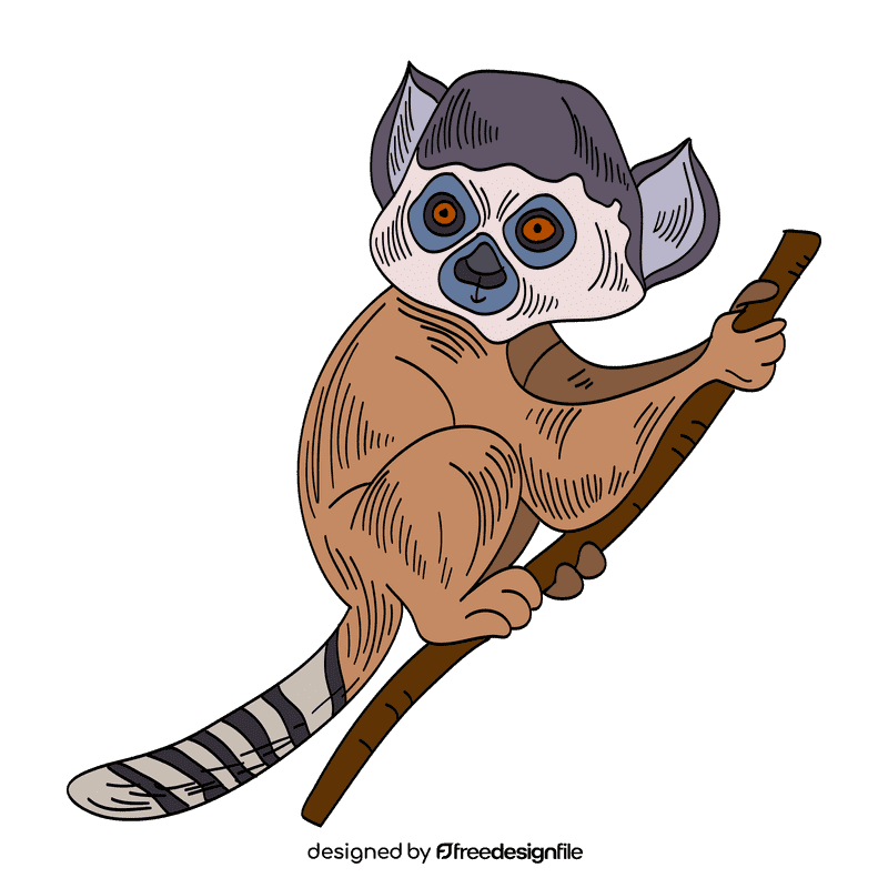 Lemur clipart