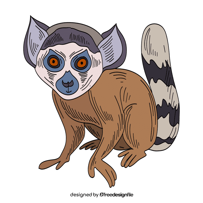 Lemur clipart