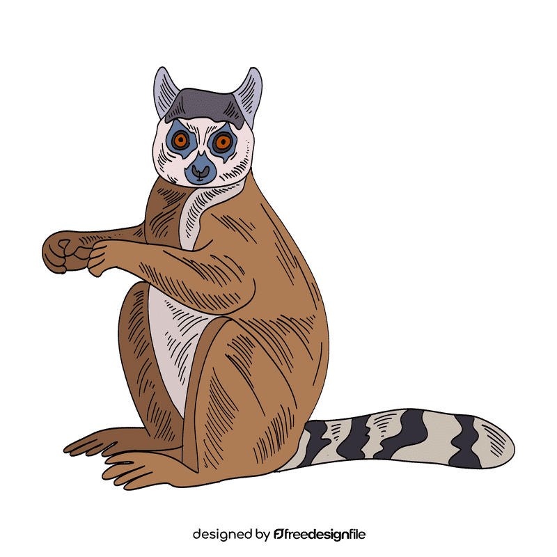 Lemur clipart