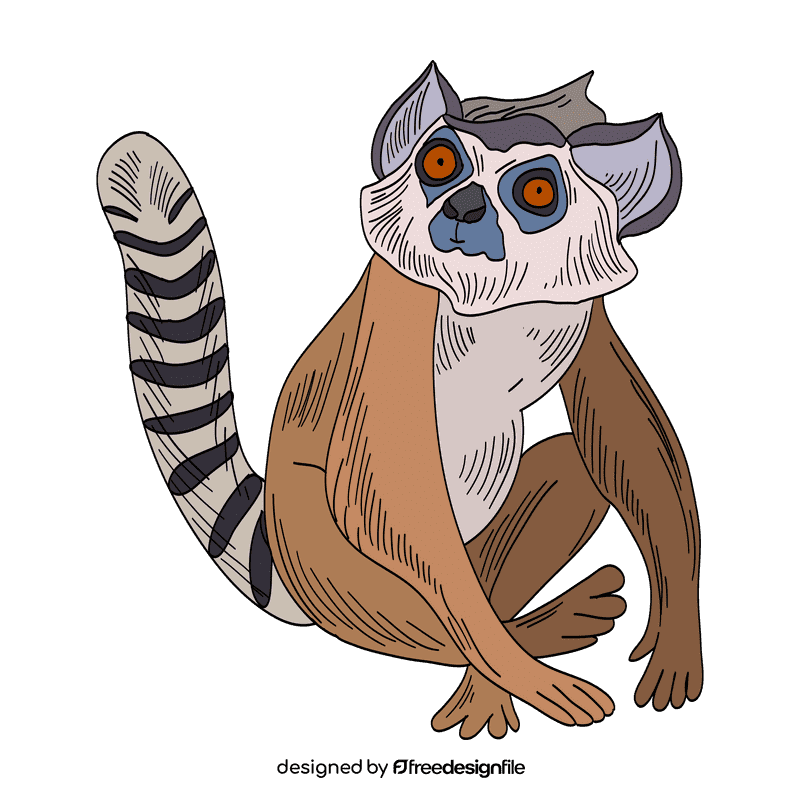 Lemur clipart