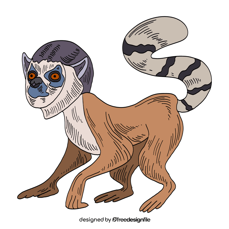 Lemur clipart