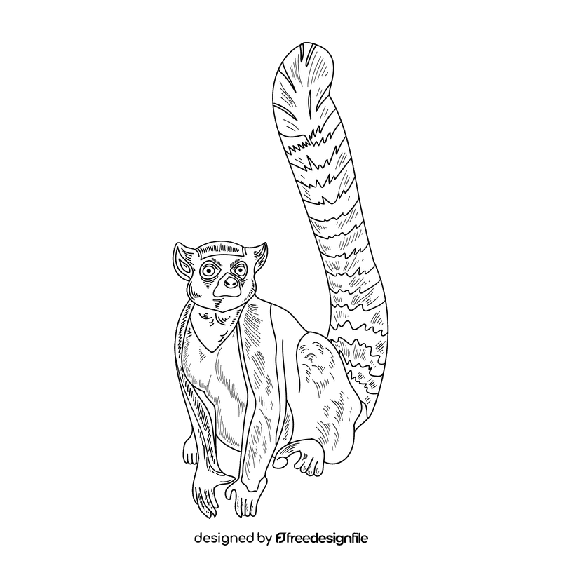 Lemur black and white clipart
