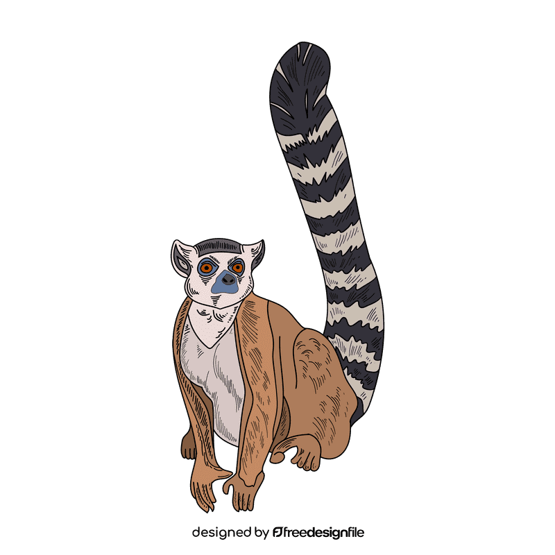 Lemur clipart