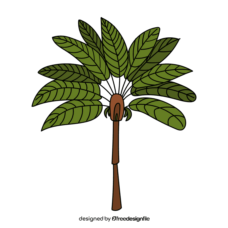 Australia Palm clipart