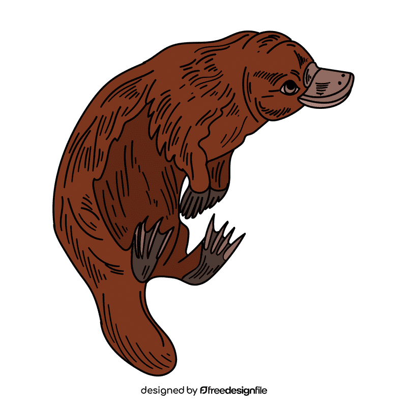 Australia Platypus clipart