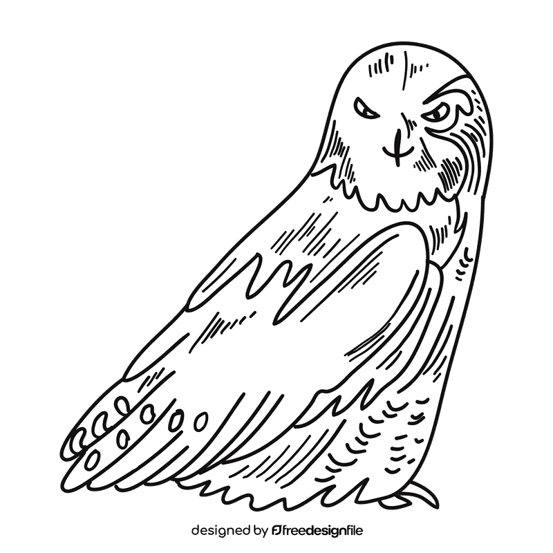 Antarctica Snowy owl black and white clipart