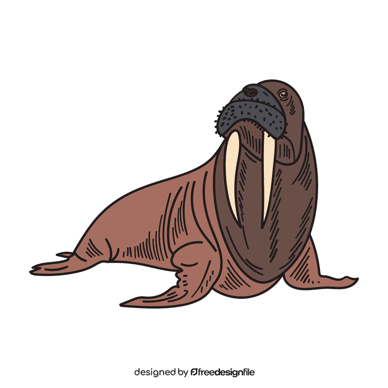 Antarctica Walrus clipart