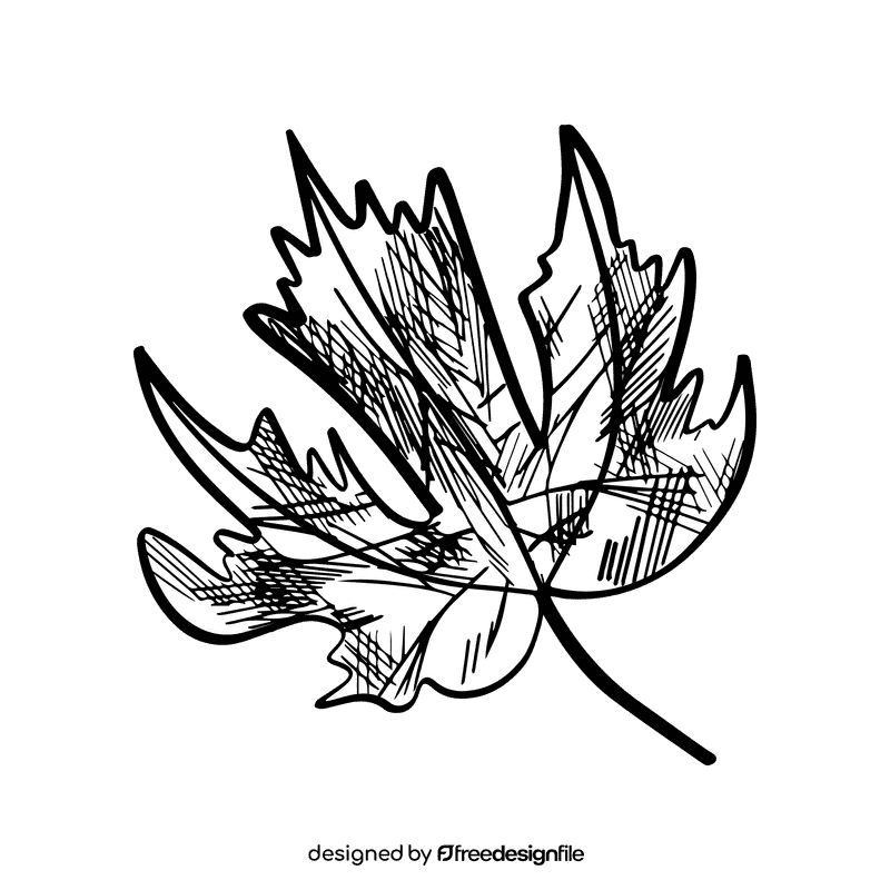 Maple leaf black and white clipart