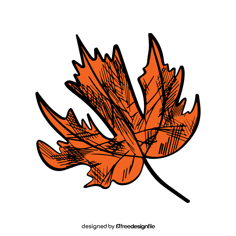Maple leaf clipart