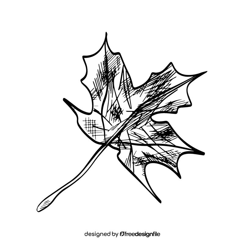 Maple leaf black and white clipart