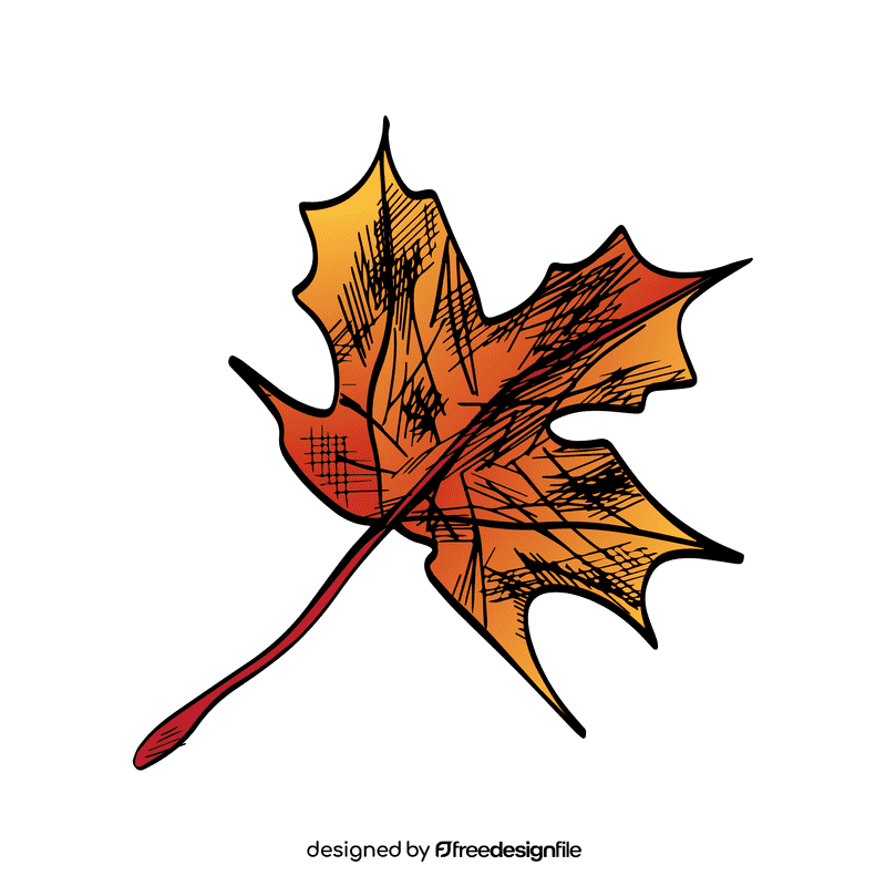 Maple leaf clipart