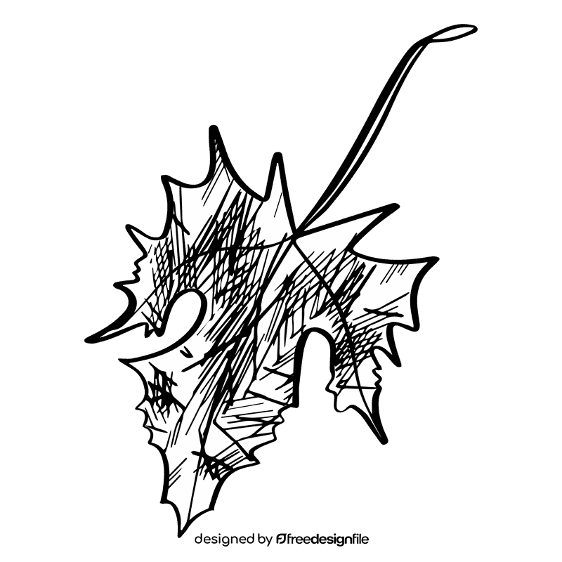 Maple leaf black and white clipart