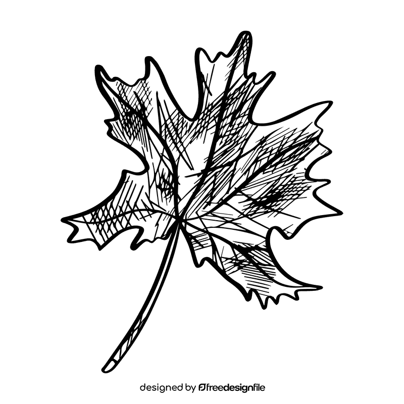 Maple leaf black and white clipart