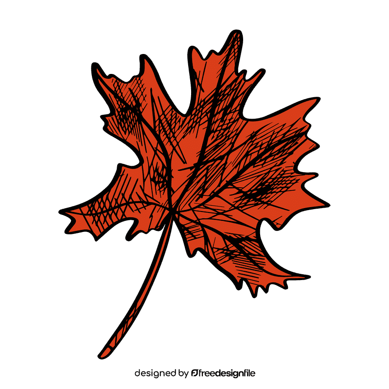 Maple leaf clipart