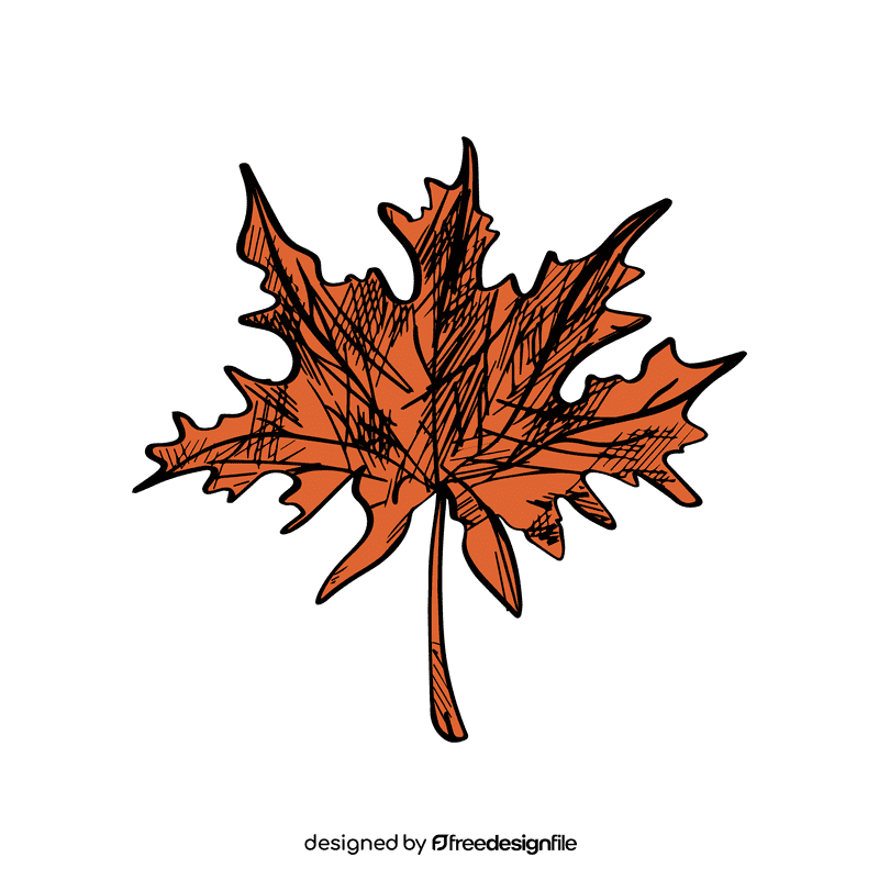 Maple leaf clipart