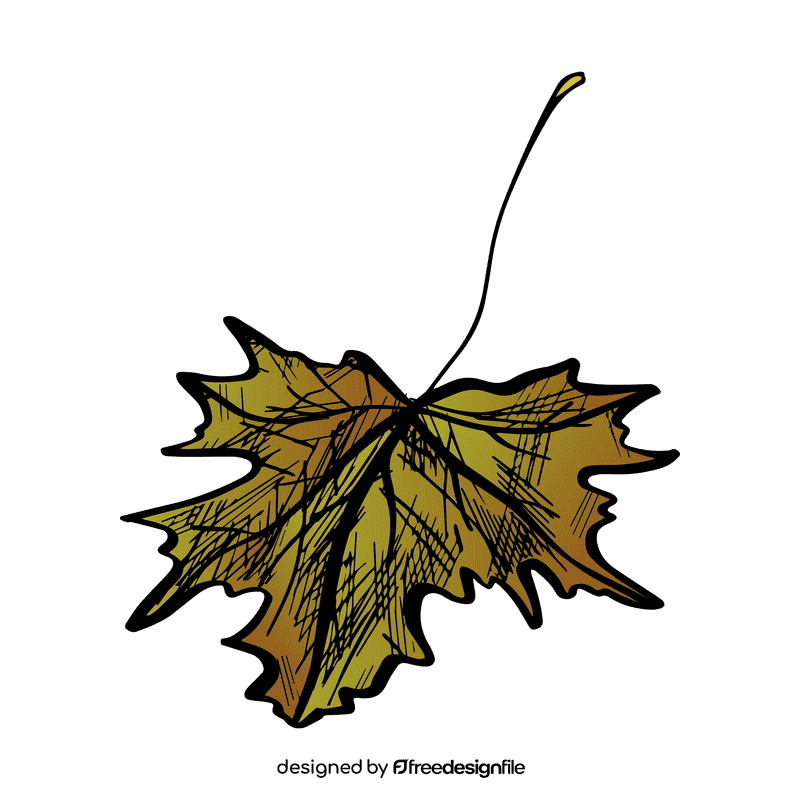 Maple leaf clipart