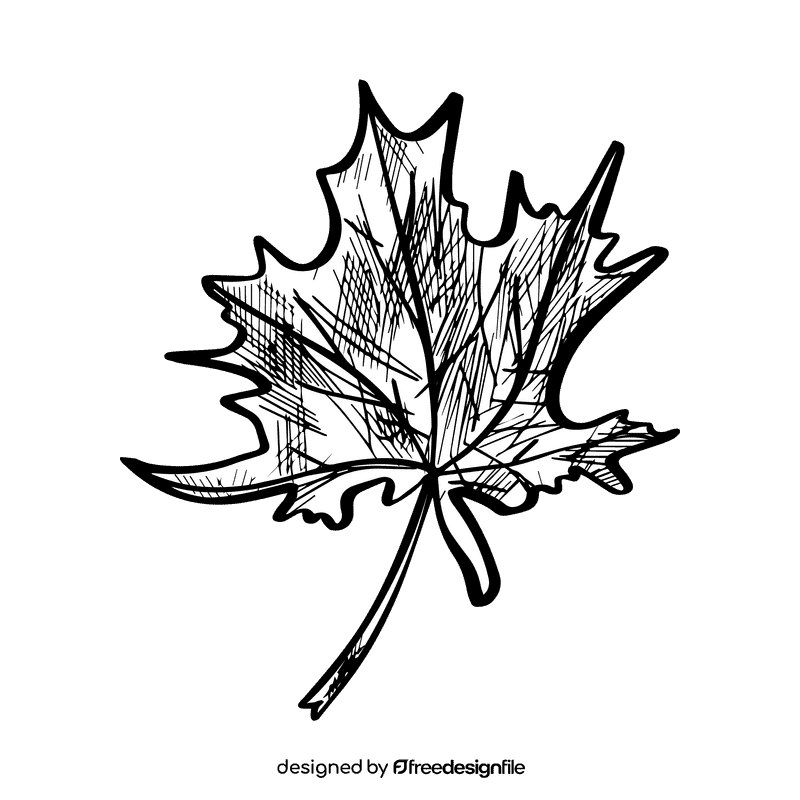 Maple leaf black and white clipart