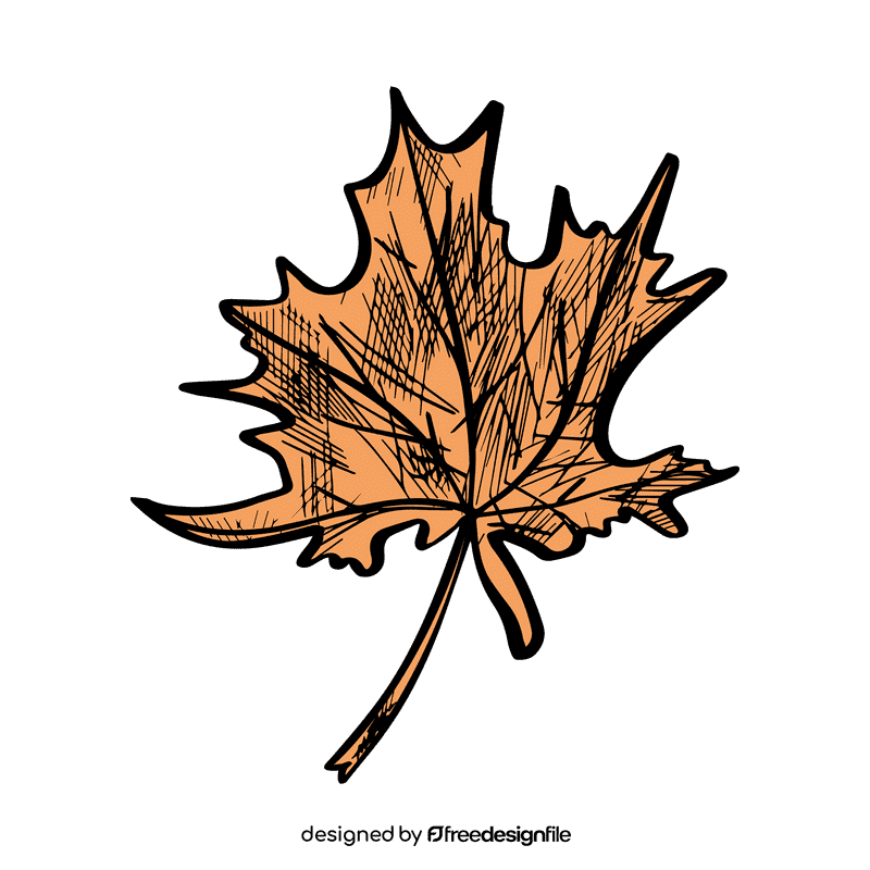 Maple leaf clipart