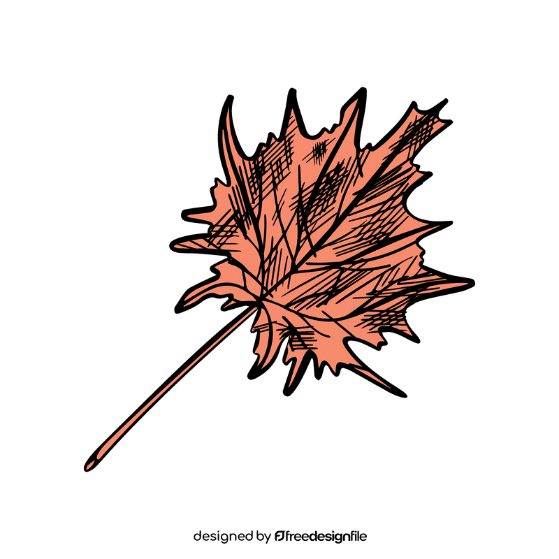 Maple leaf clipart