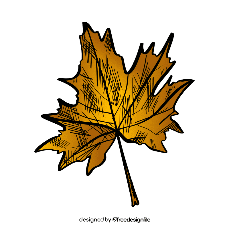 Maple leaf clipart