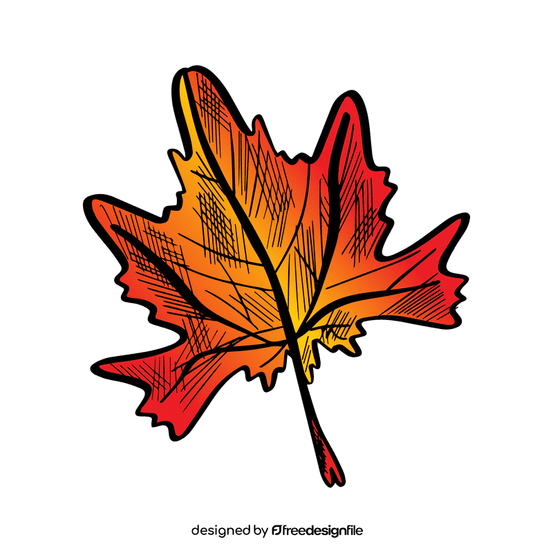Maple leaf clipart