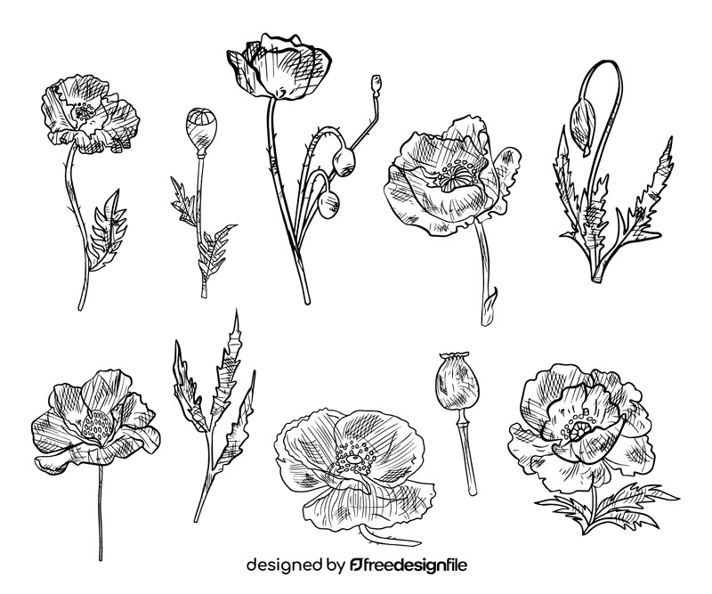 Poppies black and white vector