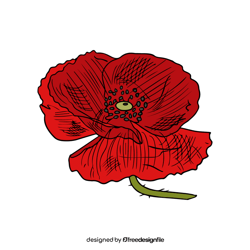 Poppies clipart