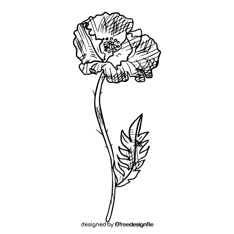 Poppies black and white clipart