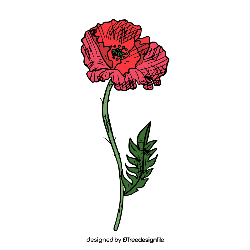 Poppies clipart
