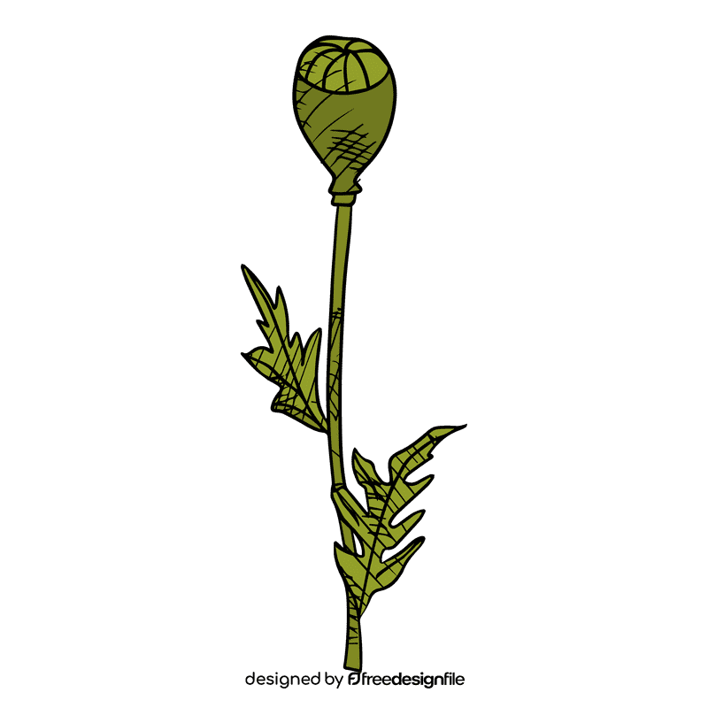 Poppies clipart