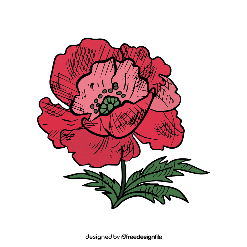 Poppies clipart