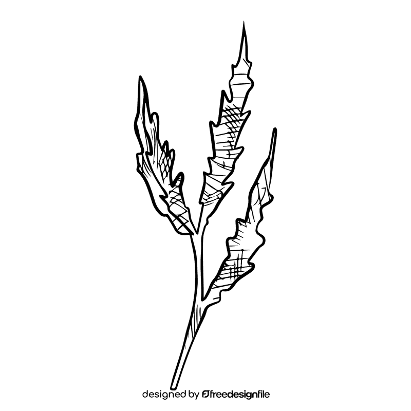 Poppies black and white clipart