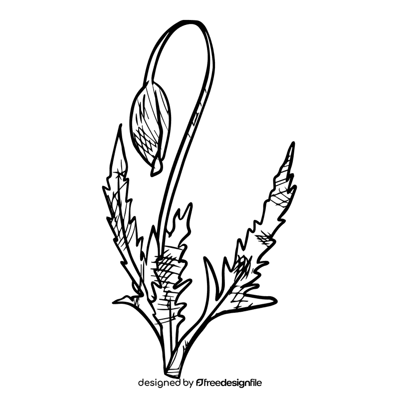 Poppies black and white clipart