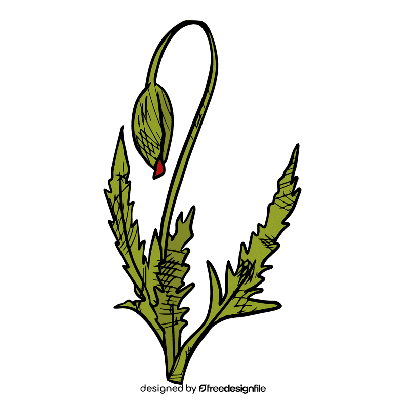 Poppies clipart