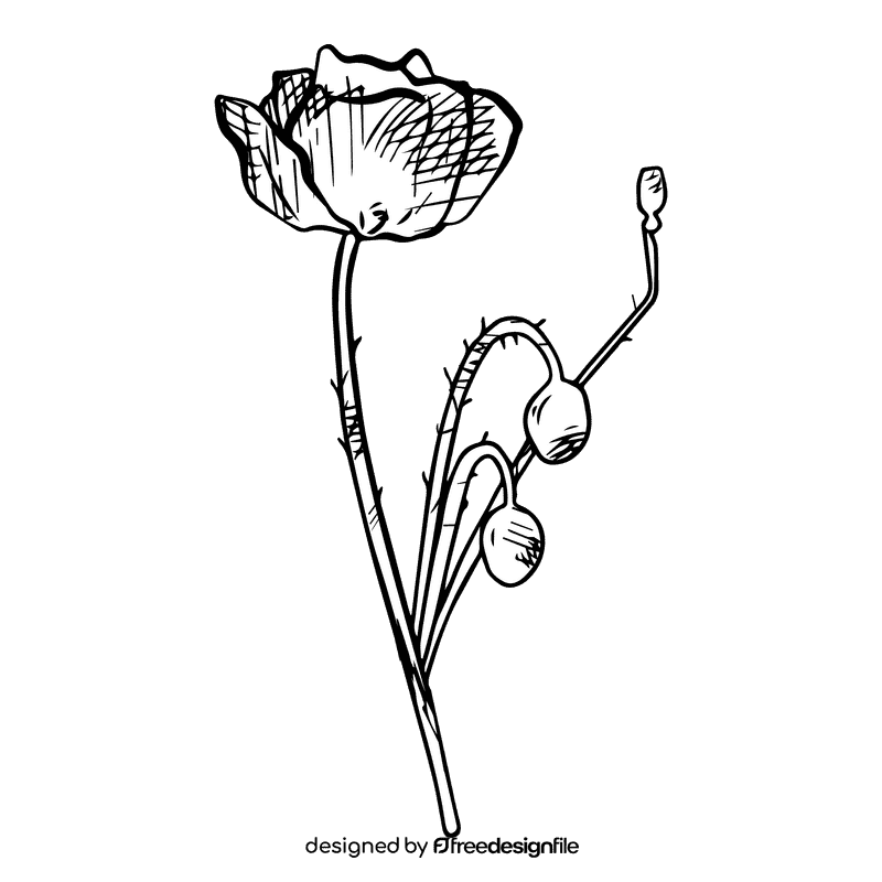 Poppies black and white clipart