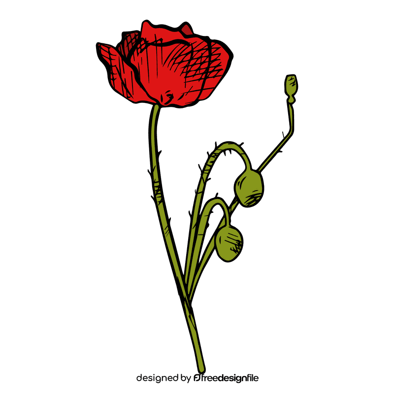 Poppies clipart