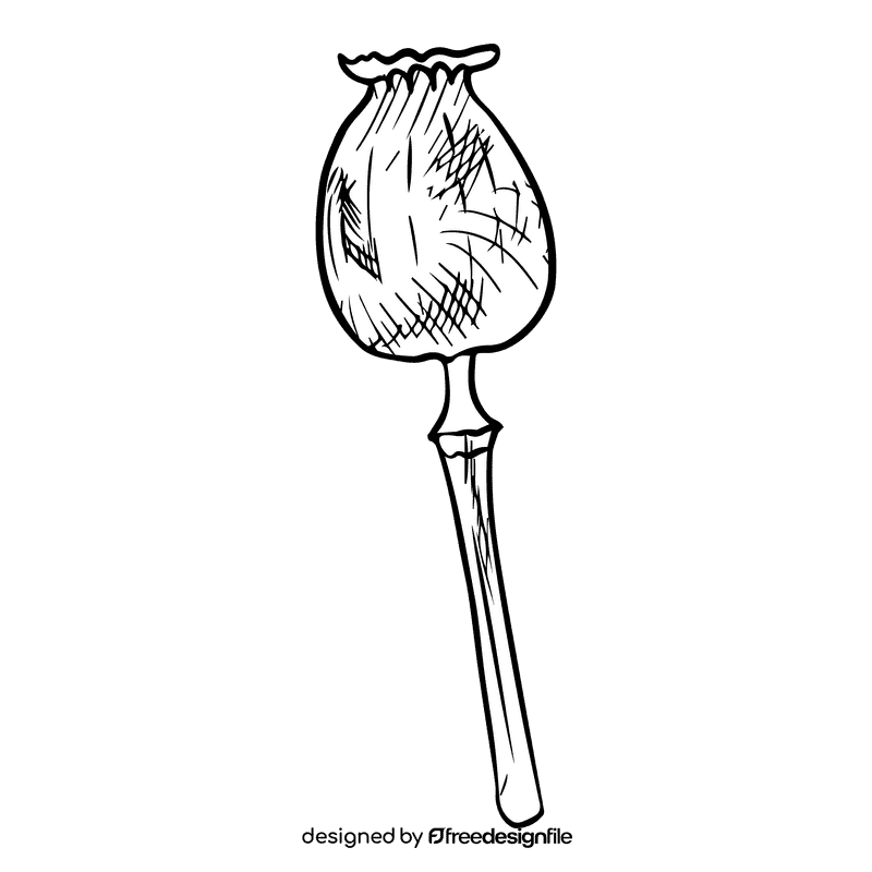 Poppies black and white clipart