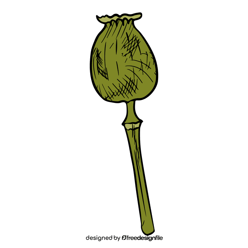 Poppies clipart