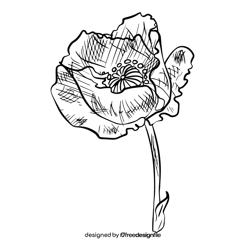 Poppies black and white clipart