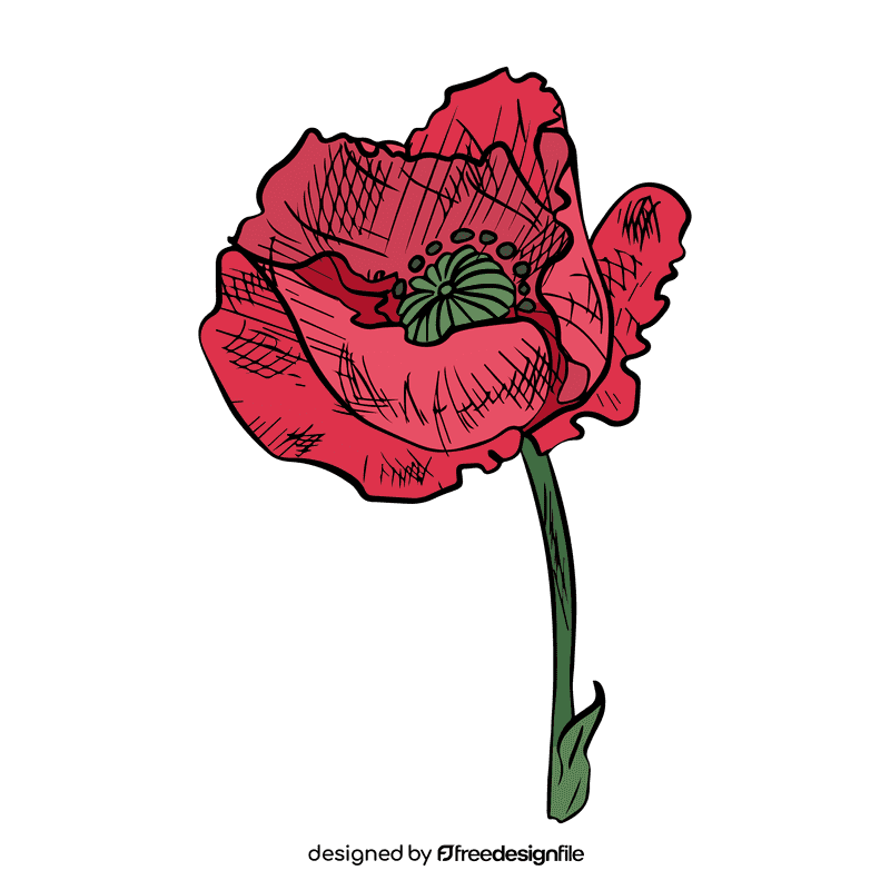 Poppies clipart