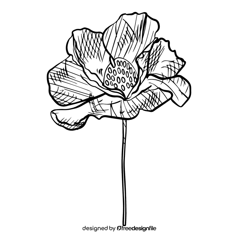 Poppies black and white clipart