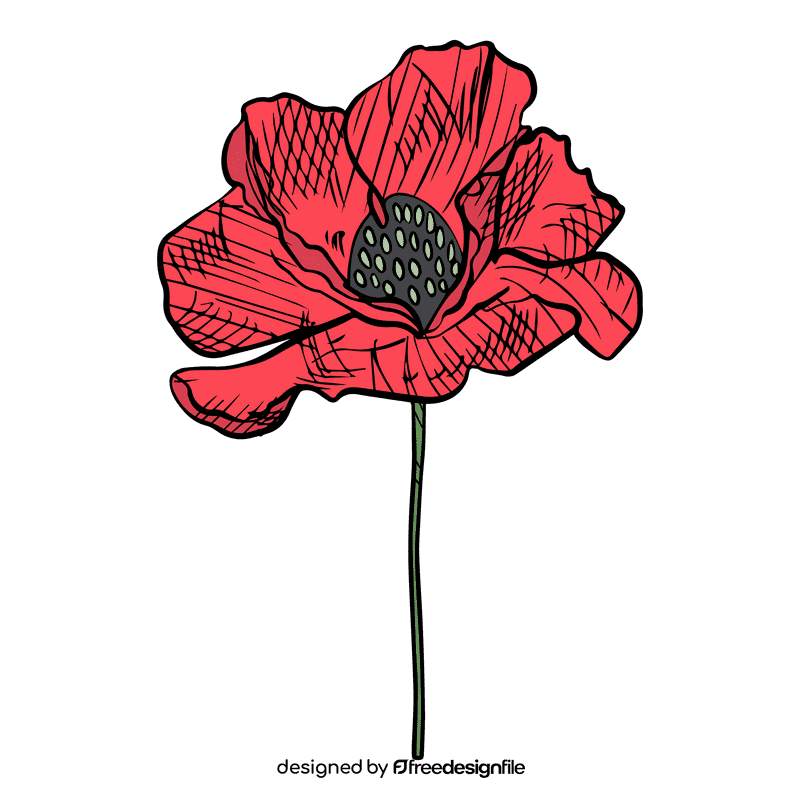 Poppies clipart