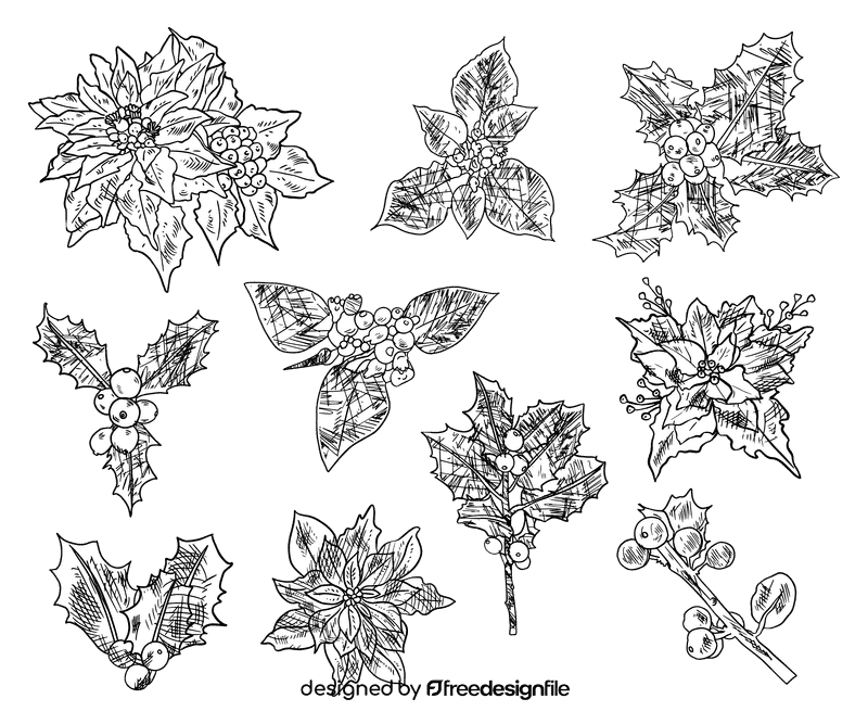 Poinsettia black and white vector