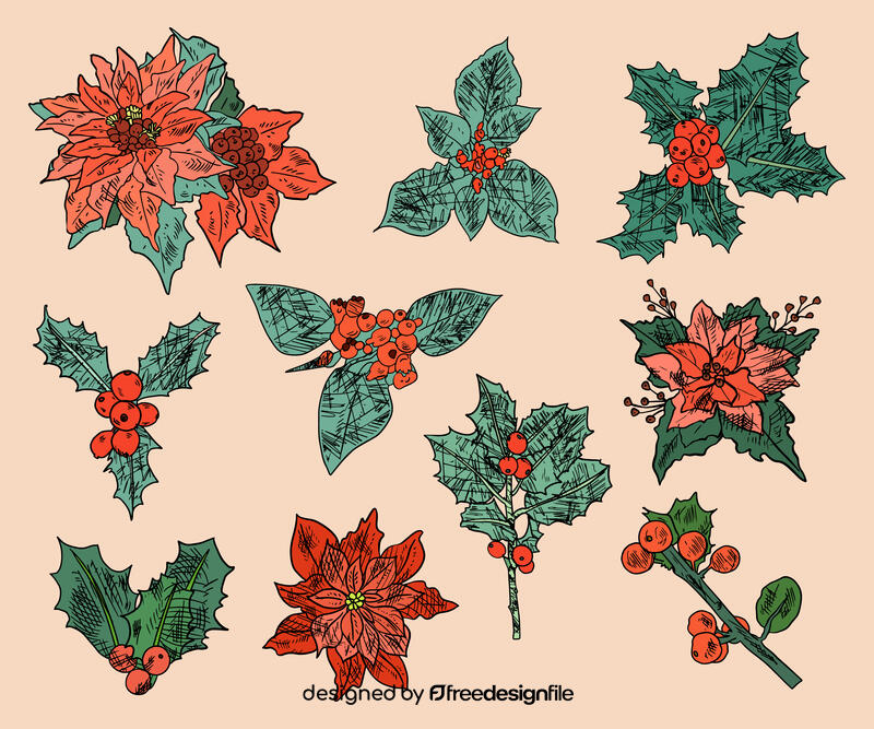Poinsettia vector