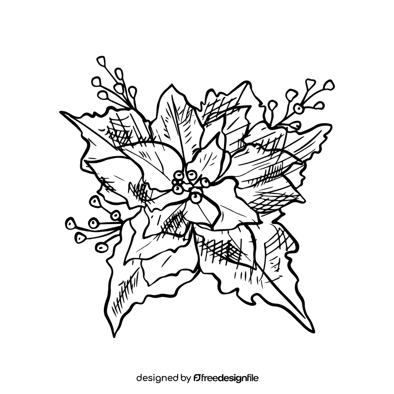 Poinsettia black and white clipart