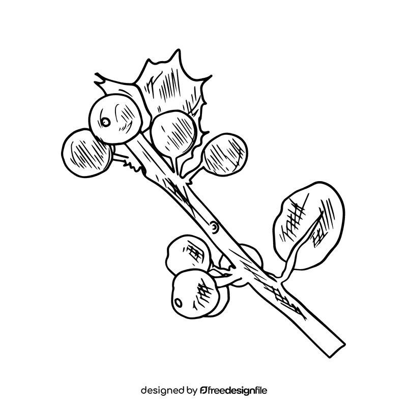 Poinsettia black and white clipart