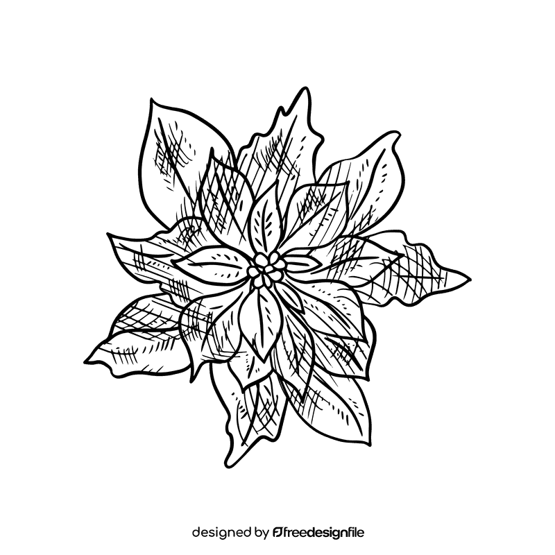 Poinsettia black and white clipart