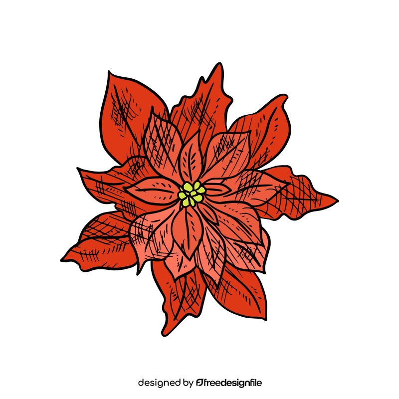 Poinsettia clipart